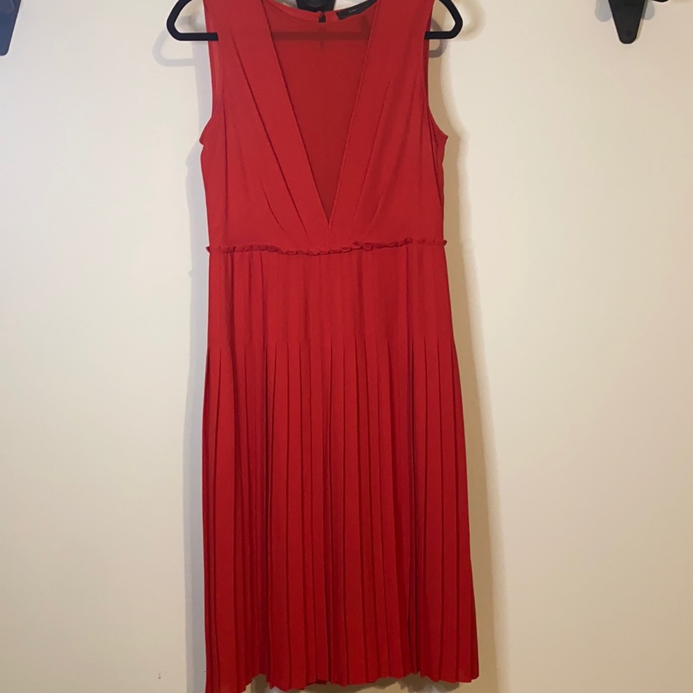 BCBG Maxazria sheer pleated dress (6)